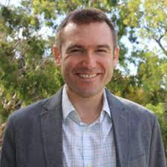 Professor David Goldstein